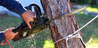 Best Emergency Tree Removal  in Mcswain, CA